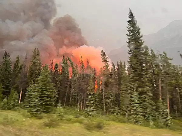 3.000 de turisti au fost evacuati dintr-un camping din sudul Frantei din cauza incendiilor de vegetatie