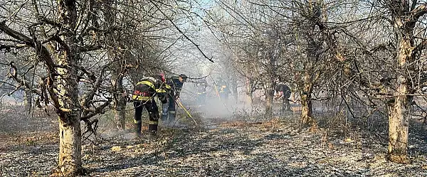 550 de hectare, 6 anexe gospodaresti si o hala au fost afectate de incendiul produs in zona localitatilor Lapusel, Coltau si Ariesu de Padure