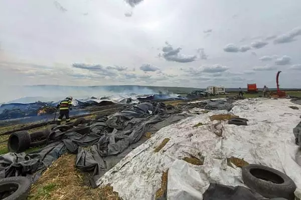 70 de vaci au murit la Botosani, dupa ce ferma in care se aflau a luat foc