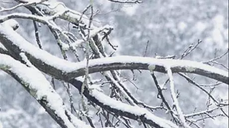 A cazut prima ninsoare in Romania, dupa saptamani intregi de canicula 