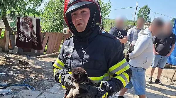 "A doua zi de Paste a venit cu o minune": Pompierii din Tulcea au salvat "doi catei pufosi si frumosi foc" dintr-o casa cuprinsa de incendiu