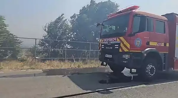 A fost activat Planul Rosu de Interventie pentru un incendiu izbucnit la Poarta Alba. Toate trenurile Bucuresti - Constanta au fost oprite | VIDEO