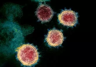 A fost descoperita o noua tulpina COVID, cu peste 30 de mutatii. Este cea mai contagioasa versiune a coronavirusului