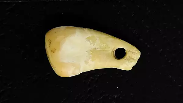 ADN-ul unei femei care a trait acum 20.000 de ani, descoperit pe un pandantiv cu dinte de cerb