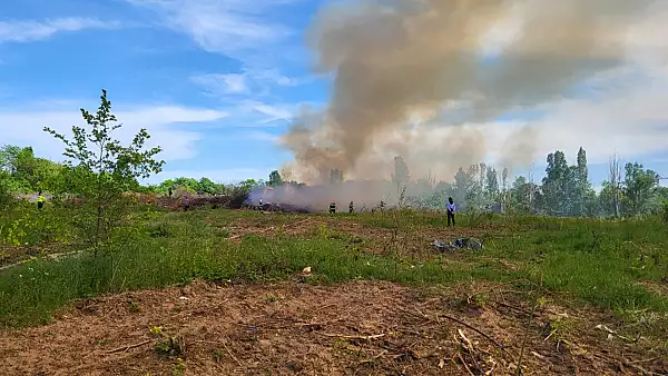 Alerta de incendiu in Parcul Grozavesti, din Capitala 