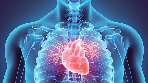 Alimentul surprinzator recomandat de un cardiolog: ,,Este prietenul inimii"