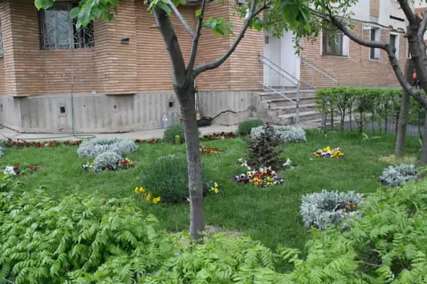 Amenda primita de o pensionara din Brasov pentru ca a plantat flori in gradina blocului. ,,Este anormal ce se intampla"