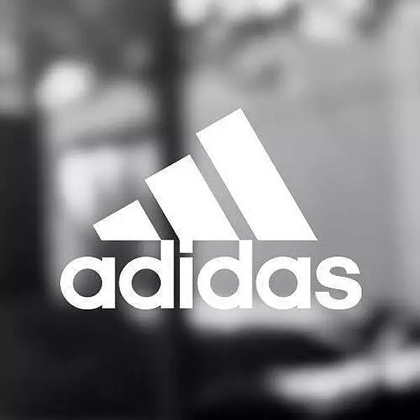 Apelul in disputa dintre Adidas si Nike a inceput in Germania