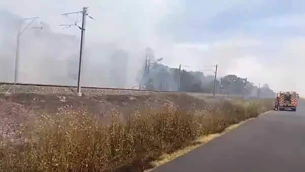 Atentie, calatori! Trenuri oprite temporar in Romania din cauza incendiilor de vegetatie