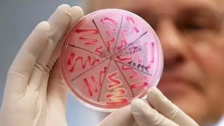Atentie! E.coli, descoperita in APA din mai multe localitati din Arges