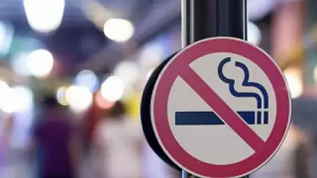Aurelia Cristea modifica iar legea antifumat: nu se fumeaza in masina personala daca sunt copii