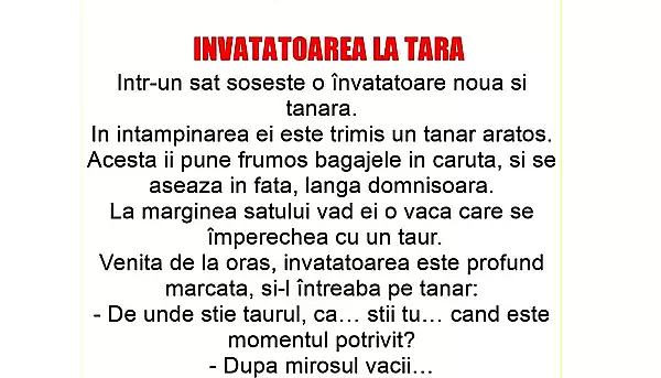 BANC | Intr-un sat soseste o invatatoare noua si tanara