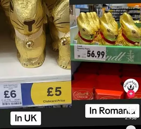 Bataie de joc la adresa romanilor: cat costa la noi un iepuras de ciocolata, comparativ cu Europa de Vest FOTO