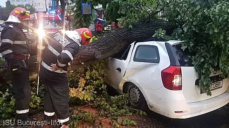 Bilatul scurtei furtuni din Capitala: 2 raniti si 6 copaci cazuti