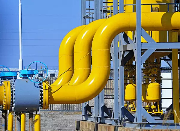 Bloomberg: Guvernul german poate nationaliza trei importatori majori de gaze