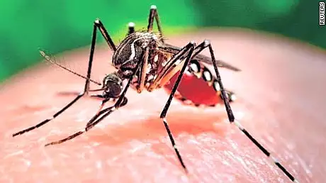BREAKING NEWS: Virusul Zika a fost confirmat in Romania. Primul caz, o tanara de 27 de ani 