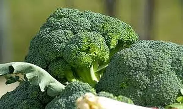 Broccoli, super-alimentul care contine o otrava pentru organism, dar care stimuleaza detoxifierea