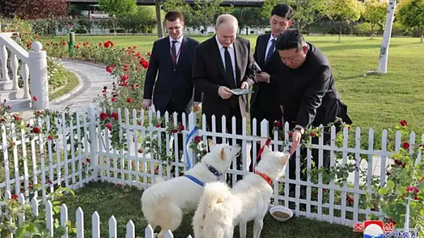 Cadourile pe care le fac dictatorii intre ei: Kim Jong Un i-a daruit lui Vladimir Putin doi caini de vanatoare. Ce a dat tarul de la Kremlin la schimb  