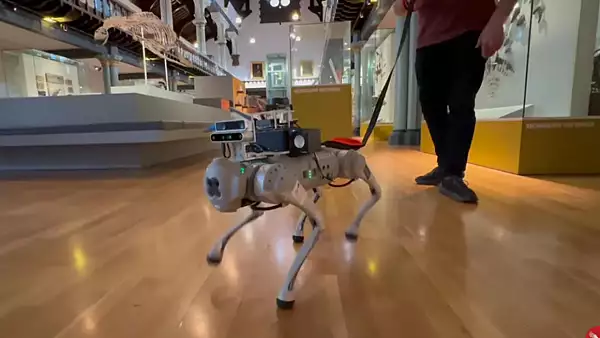 cainii-robot-controlati-cu-ajutorul-inteligentei-artificiale-noile-ajutoare-pentru-nevazatori.webp