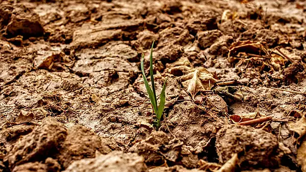 Caldura extrema in toata tara. Romania ,,se topeste": 45 de grade Celsius resimtite