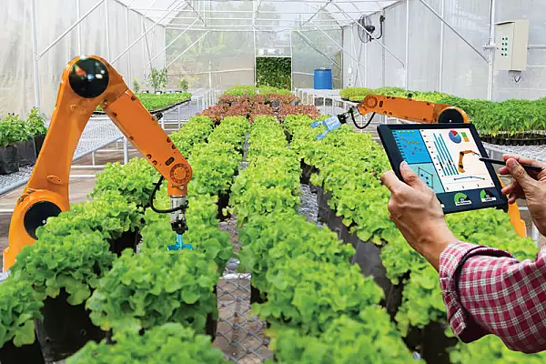 Cand agricultura bio se intalneste cu tehnologia: rosiile "cultivate" de computer