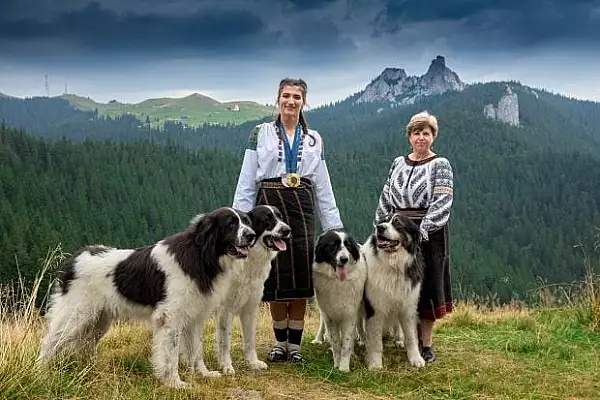 Canotoarea Ancuta Bodnar, sedinta foto spectaculoasa in Muntii Rarau. Dubla medaliata la JO 2024 apare alaturi de 4 caini ciobanesti