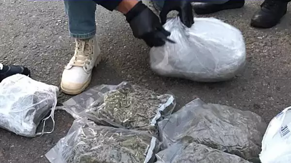 Captura impresionanta de droguri in Ialomita. 4 kg, ascunse intr-un colet trimis din Spania