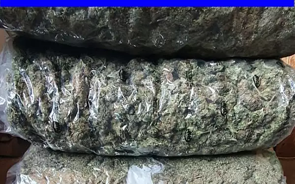 Captura
impresionanta de canabis si cocaina. Drogurile fusesera expediate intr-un colet
din Marea Britanie VIDEO