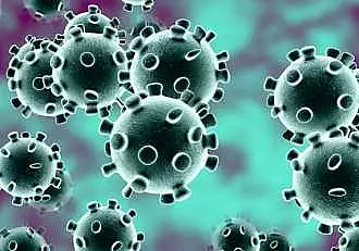 Ce este tulpina Delta Plus a coronavirusului si prin ce este diferita. In ce tari a fost identificata pana acum