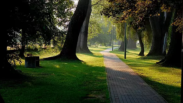 Ce inseamna daca locuiesti in apropierea unui parc sau loc de joaca. Cat de afectat este creierul