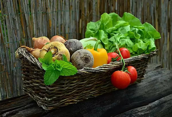 Ce legume poti sa plantezi unele langa altele. Numai asa vei avea o recolta corecta si bogata