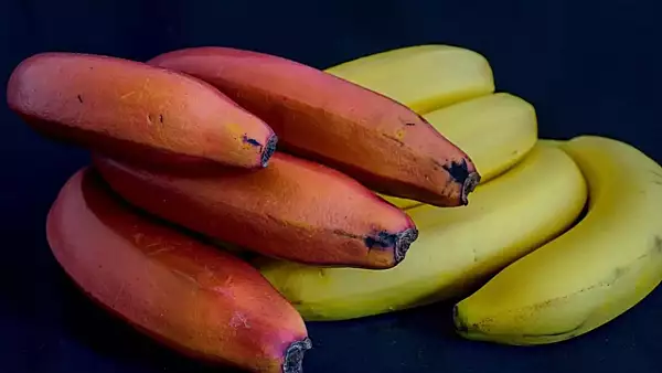 ce-sunt-de-fapt-bananele-rosii-fructele-bizare-cu-proprietati-nebanuite.webp