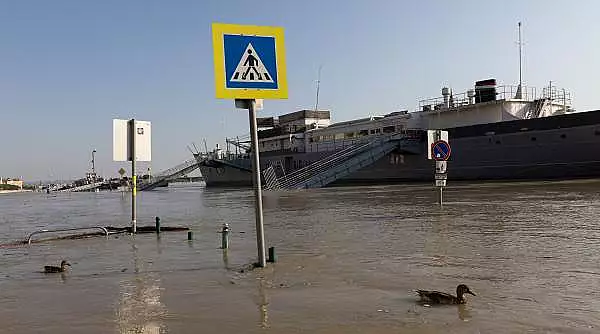 Cea mai grea zi in Budapesta. Dunarea a depasit cu un metru cotele de siguranta, totul e sub ape, statiile de autobuz abia se mai vad 