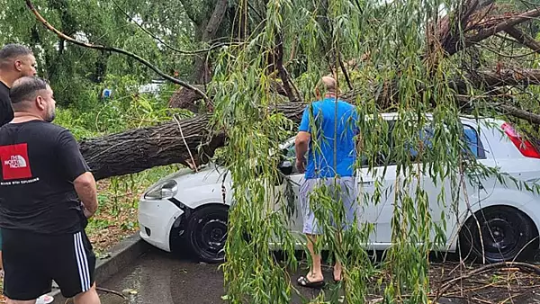 Centrul Ploiestiului, maturat de o furtuna puternica. Mai multi copaci au fost pusi la pamant FOTO+VIDEO