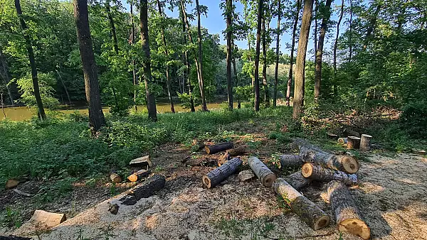 Centura Verde Bucuresti-Ilfov, inscrisa ca amendamente la noul cod silvic