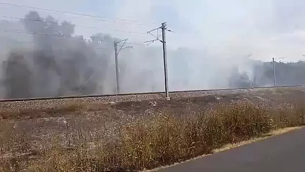 Cinci trenuri, blocate in camp, la 40 grade Celsius, din cauza unui incendiu de vegetatie. Circulatie intrerupta intre Fetesti si Ciulnita 