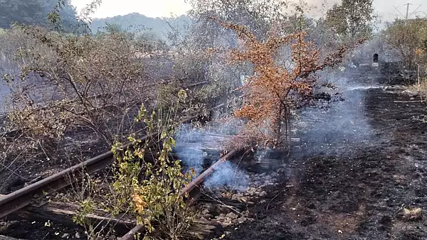 Circulatia trenurilor CFR de calatori s-a reluat partial, dupa ce a fost blocata din cauza unor incendii de vegetatie, intre Bucuresti si Craiova