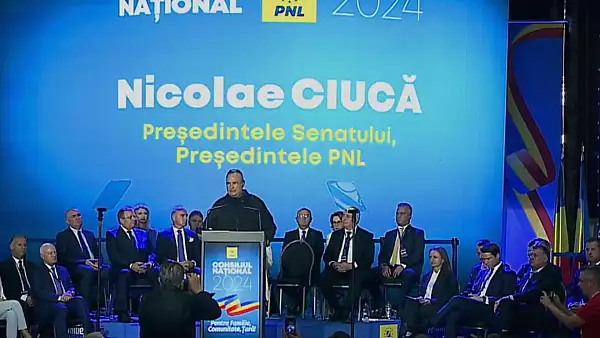 Ciuca despre ,,gruparea" care vrea sa preia fraiele PNL: ,,Sunt speculatii si incercari de destabilizare"