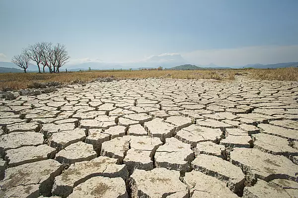 Clima Europei se incalzeste de doua ori mai rapid decat media la nivel global / Care vor fi consecintele