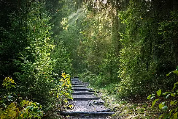 Coltul de Rai aflat langa Brasov! Putina lume stie de el si este perfect pentru o calatorie de weekend cu familia