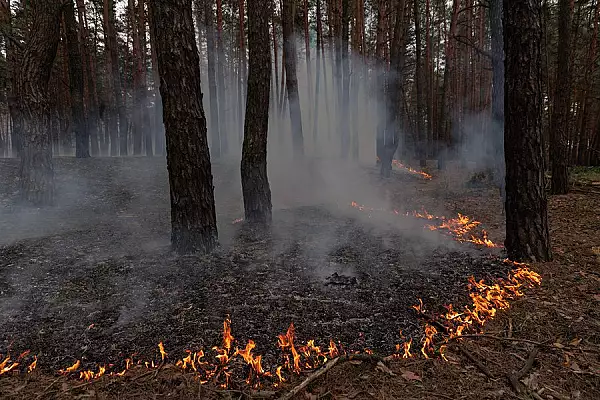 Comandantul trupelor de pe frontul din Harkov, inlocuit in plina ofensiva a Rusiei. Oficial ucrainean: S-au construit fortificatii la Vovceansk