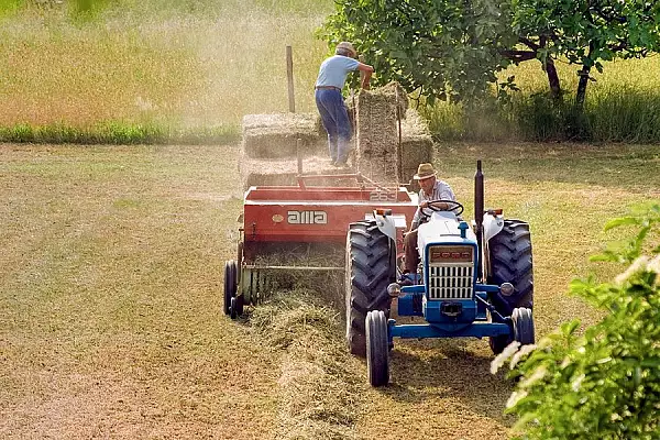 Comisia Europeana propune un sprijin de 120 de milioane de euro pentru fermierii din Romania si din alte patru tari