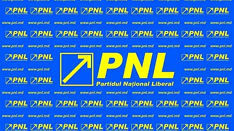 Competitie previzibila la PNL. Liderii demisionari de la sectoare intra in cursa pentru sectoare