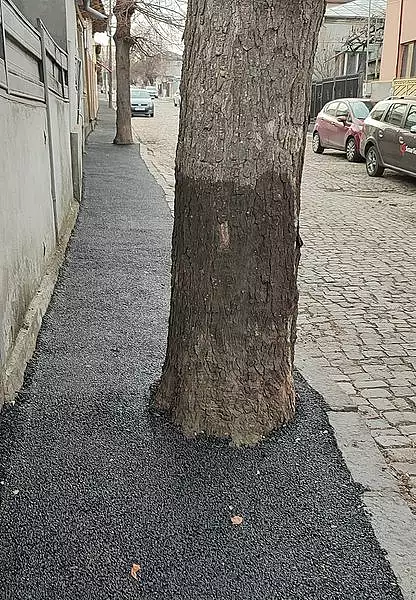 Copaci asfaltati pe trotuarul unei strazi cu piatra cubica si gropi. Dorel de Galati recidiveaza