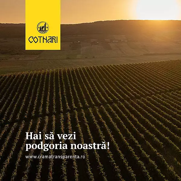 Cramele Cotnari devin destinatie turistica pentru iubitorii de vinuri, in cadrul campaniei "Crama Transparenta"