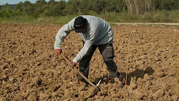 Cum a ajuns un fermier roman sa primeasca zeci de milioane de euro de la stat. Tribunalul Vrancea a luat decizia