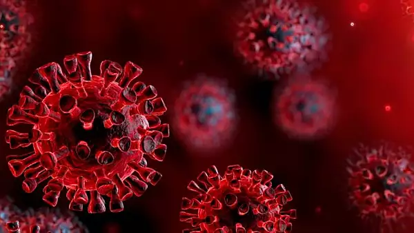 Cum a aparut in Romania primul caz de infectare cu noua tulpina de coronavirus din Marea Britanie. Raspunsul lui Alexandru Rafila