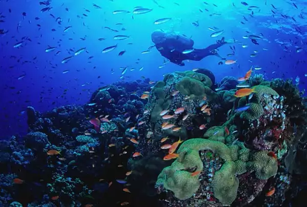 Cum ar putea cartografierea sa salveze viitorul oceanelor noastre