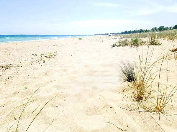 Cum pica in capcana turistii romani din Bulgaria. Amenzi enorme in zone unde nu exista niciun avertisment: ,,Nu ne intereseaza, la noi trebuie sa stii legea" FO