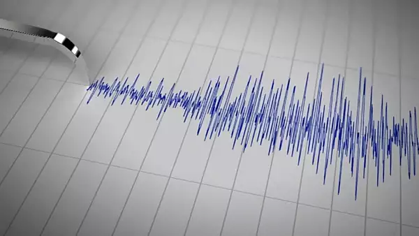 Cutremur de 3,5 grade, vineri dimineata, in Romania. INFP anunta activitate seismica intensa 